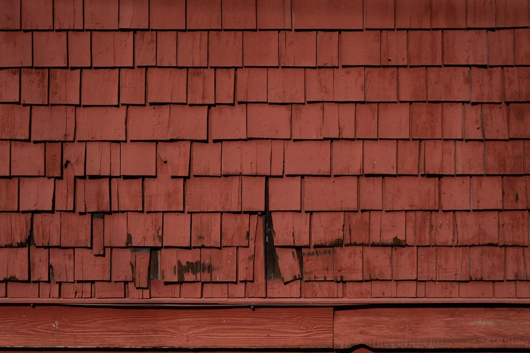 Sustainable Materials for New Zealand Home Renovations